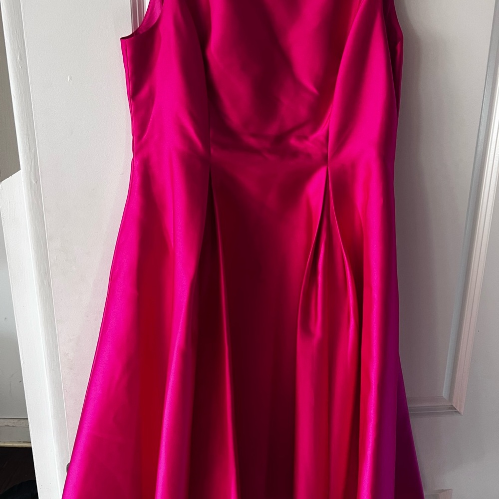 Adrianna Papell Fuchsia Dress